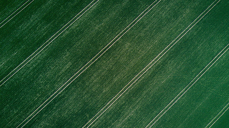 фотография, трева, поле, въздушен изглед, пейзаж, симетрия, HD тапет