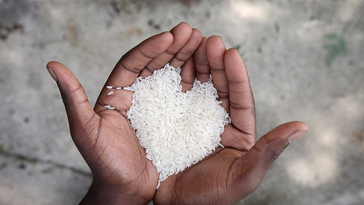 Person hält Reiskorn, Hand, Figur, Herz, Hände, HD-Hintergrundbild