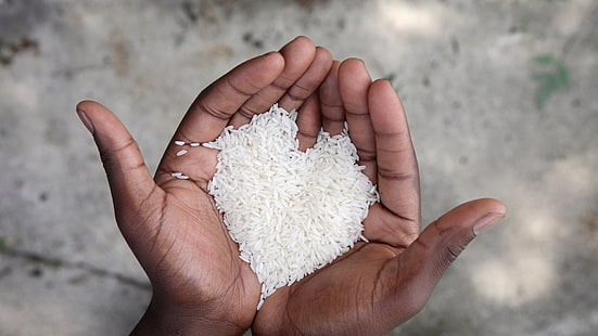 Person hält Reiskorn, Hand, Figur, Herz, Hände, HD-Hintergrundbild HD wallpaper