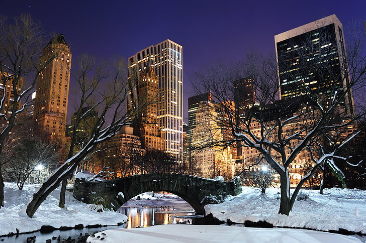 kahle Bäume, Stadt, die Stadt, USA, NYC, New York, Central Park, HD-Hintergrundbild