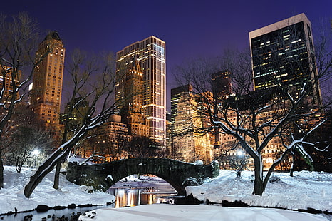 голи дървета, град, град, САЩ, Ню Йорк, Ню Йорк, централен парк, HD тапет HD wallpaper