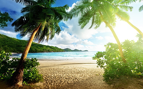 المناظر الطبيعية للشاطئ ، الجزيرة ، البحر ، أشجار النخيل ، السماء ، الغيوم ، الشاطئ ، المناظر الطبيعية ، الجزيرة ، البحر ، النخيل ، الأشجار ، السماء ، الغيوم، خلفية HD HD wallpaper