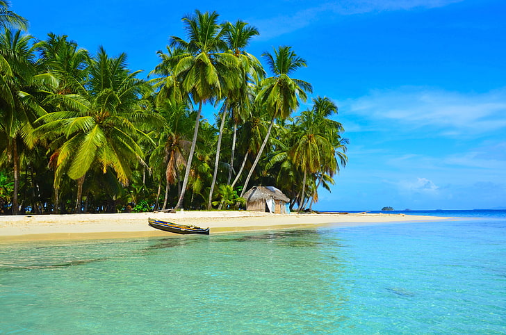 brown canoe, sea, beach, tropics, palm trees, boat, house, HD wallpaper