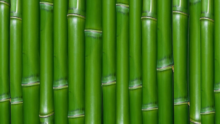 Grüner Bambus Texturen Makro 1920x1080 Abstrakte Texturen HD Art, Grün, Bambus, HD-Hintergrundbild