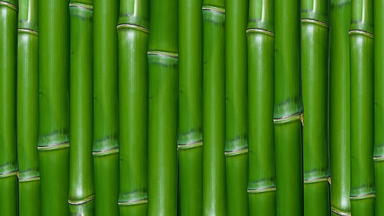 макро текстуры зеленого бамбука 1920x1080 Абстрактные текстуры HD Art, зеленый, бамбук, HD обои HD wallpaper