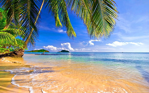 Берег пальмы тропического пляжа-Летний пейзаж HD Wallp .., водоем, HD обои HD wallpaper