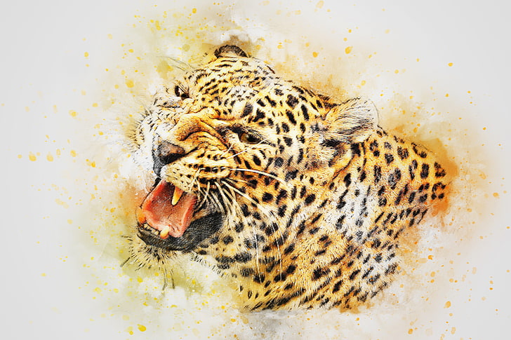 leopardo marrón, leopardo, arte, depredador, Fondo de pantalla HD