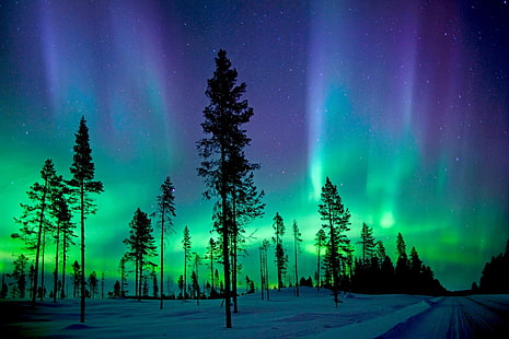 northern lights  for  download for pc, HD wallpaper HD wallpaper