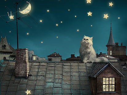 illustration 3D de chaton persan blanc, nuit, chat, étoiles, lune, art fantastique, chat persan, toits, Fond d'écran HD HD wallpaper