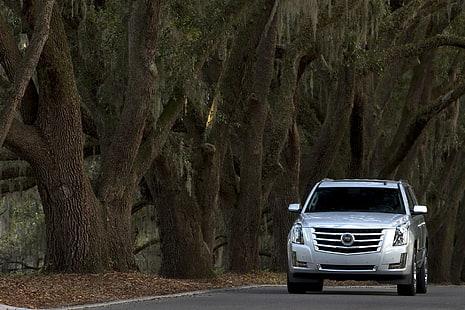 Cadillac Escalade Platinum,, Auto, HD-Hintergrundbild HD wallpaper
