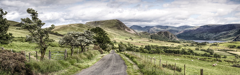 Straße, Bäume, Berge, Lake District National Park, Cumbria, Großbritannien, Straße, Bäume, Berge, See, Bezirk, National, Park, Cumbria, Großbritannien, HD-Hintergrundbild HD wallpaper