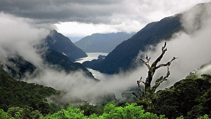 Misty Valley, montagna con nebbia, natura, paesaggio, paesaggio, montagne, 3d ed estratto, Sfondo HD