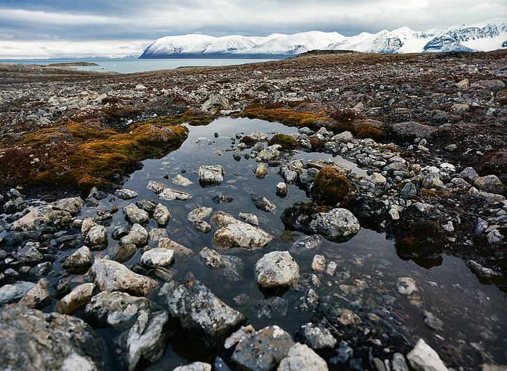 stenar och vatten, svalbard, norge, svalbard, norge, fjärr, Svalbard, norge, stenar, vatten, film, portra, arktisk longyearbyen, havsis, kall, global norr, natur, berg, landskap, island, scenics, utomhus, rock - Objekt, snö, glaciär, HD tapet
