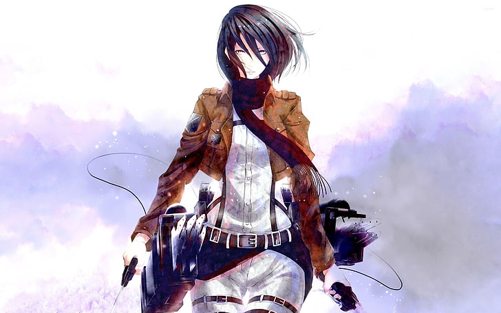 Mikasa Ackerman, Shingeki no Kyojin, anime girls, anime, HD wallpaper