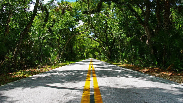 asfaltowa droga, droga, przyroda, las, światło słoneczne, nakrapiane światło słoneczne, Tapety HD