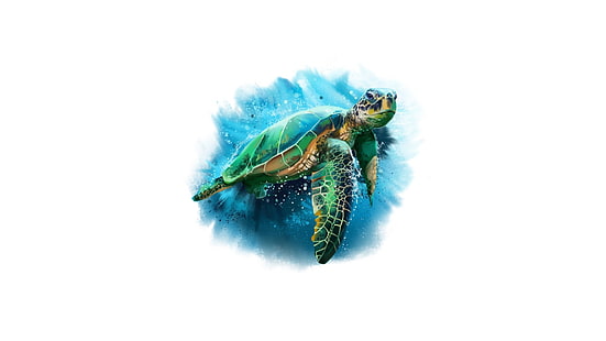 Tier, Schildkröte, Künstlerisch, Zeichnen, HD-Hintergrundbild HD wallpaper