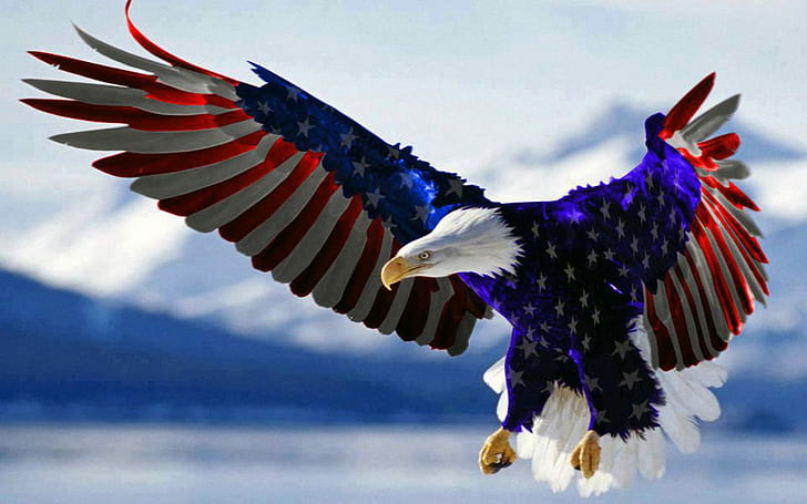 Плешив орел американски флаг Hd тапет за мобилни телефони Таблет и компютър 2560 × 1600, HD тапет