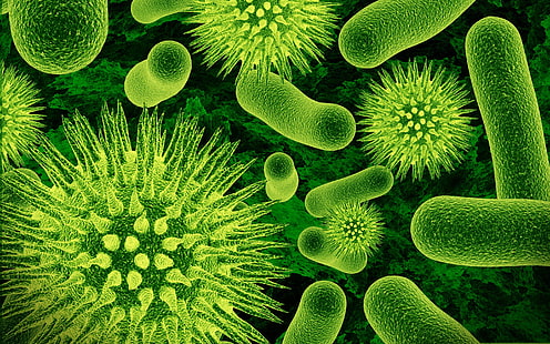 biología, aumento, bacterias, microorganismos, Fondo de pantalla HD HD wallpaper