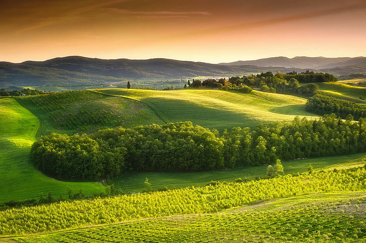 イタリア、トスカーナ、イタリア、トスカーナ、田舎、風景、自然、木、緑の野原、 HDデスクトップの壁紙