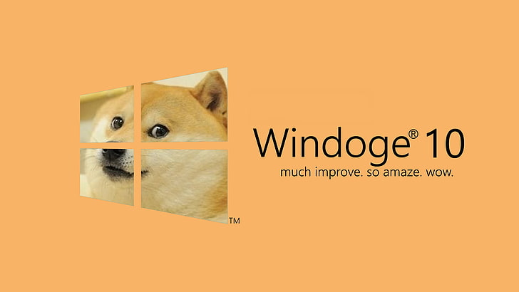 Windoge 10 логотип, Microsoft Windows, Windows 10, дож, собака, мемы, HD обои