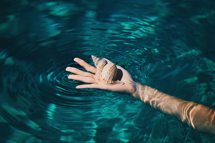 фотография, вода, руки, пальцы, морская ракушка, HD обои