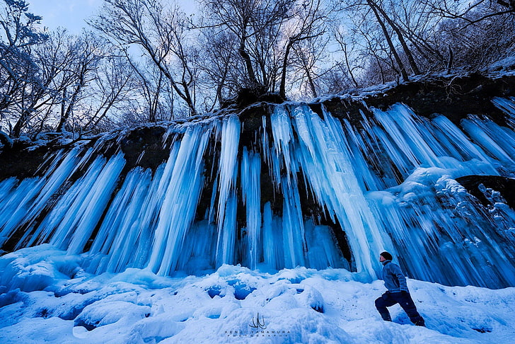 snow, trees, people, icicles, photographer, Kenji Yamamura, HD wallpaper