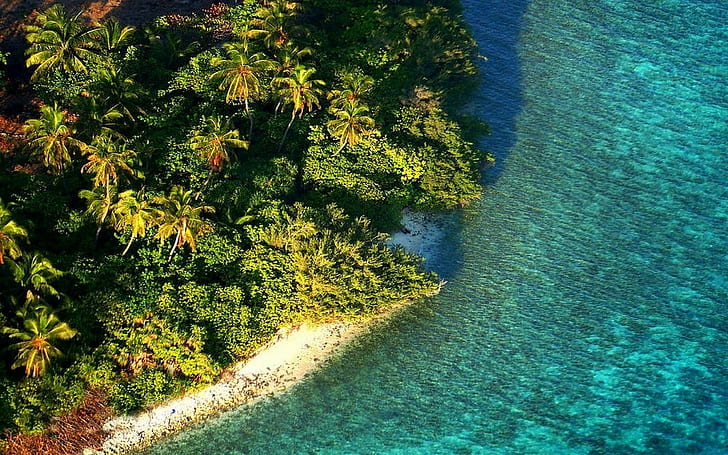 naturlandschaft luftbild insel strand malediven tropisches meer palmen laub wasser morgen, HD-Hintergrundbild