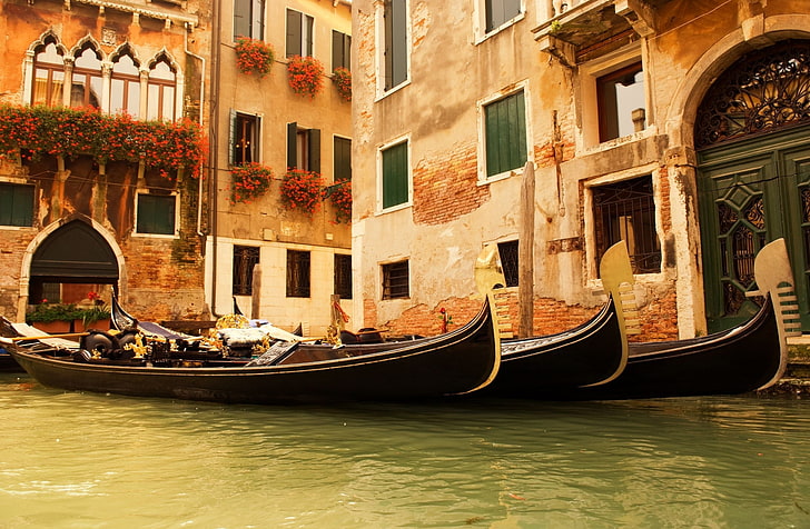 three brown canoes, water, flowers, Windows, home, Venice, Italy, gondola, HD wallpaper