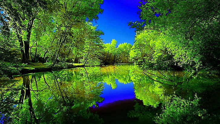 лято, синьо небе, отражение, отражение, отражение, езеро, дървета, храсти, небе, HD тапет
