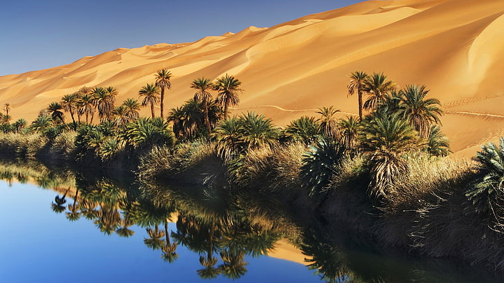 пальмы, оазис, песчаные дюны, отражение, HD обои