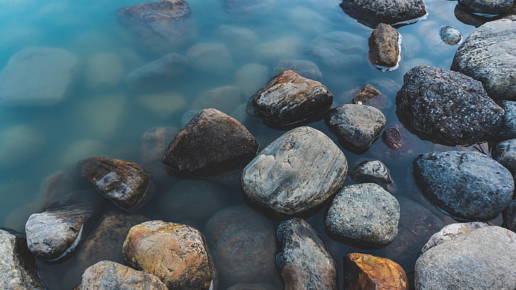 gray pebble, rocks, nature, water, HD wallpaper