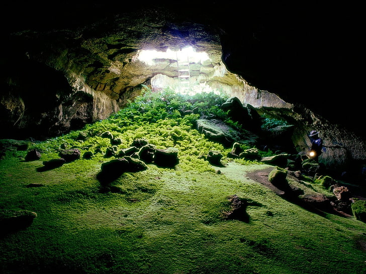 brown cave, cave, nature, moss, rock, sunlight, ladders, plants, ferns, HD wallpaper