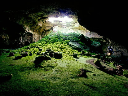 brown cave, cave, nature, moss, rock, sunlight, ladders, plants, ferns, HD wallpaper HD wallpaper