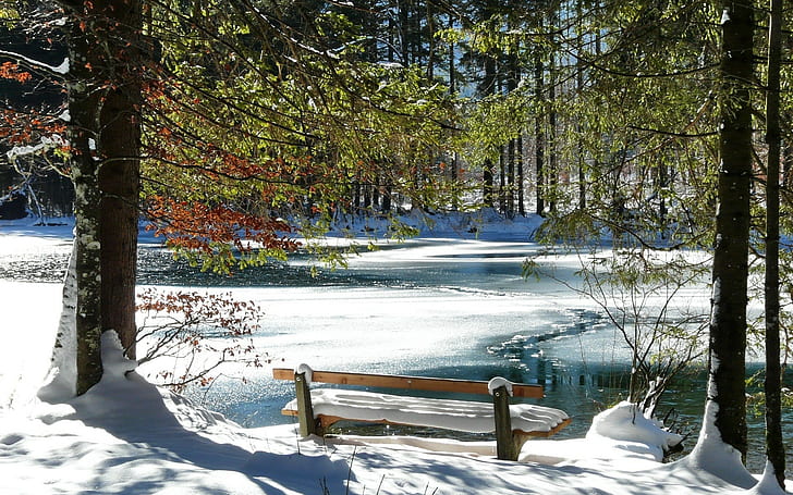 Bench, Spring, Coast, Lake, Ice, Thawing, Snow, Trees, HD wallpaper