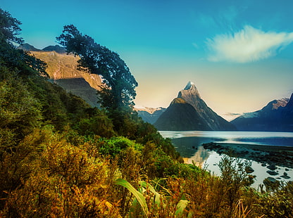 التنزه حول ميلفورد ، العشب الأخضر ، أوقيانوسيا ، نيوزيلندا ، المحيط الهادئ ، الجبل ، السفر ، الطبيعة ، الجمال ، البرية ، الجبل ، البحيرة ، الجزيرة ، المياه ، عالية ، الصوت ، الرقمية ، التصوير الفوتوغرافي ، النباتات ، نيوزيلندا ، الجنوب ، في الهواء الطلق ، التنزه المشي لمسافات طويلة ، المناظر الطبيعية الخلابة ، انعكاس ، الذروة ، البرية ، المدى ، المعسكر ، طبيعي ، 2012 ، رمز ، مبدع ، فلورا ، أغسطس ، المضيق ، أوتياروا ، ديناميكي ، تصوير ، جنوب غرب ، ميلفورد ، بيوبوتاهي ، جرينستون ، نيوزيلندا ، نيكوند 800 ، فيوردلاند الوطنية بارك ، تواهيبونامو ، tewaipounamu، unescoworldheritagesite، mitrepeak، خلفية HD HD wallpaper