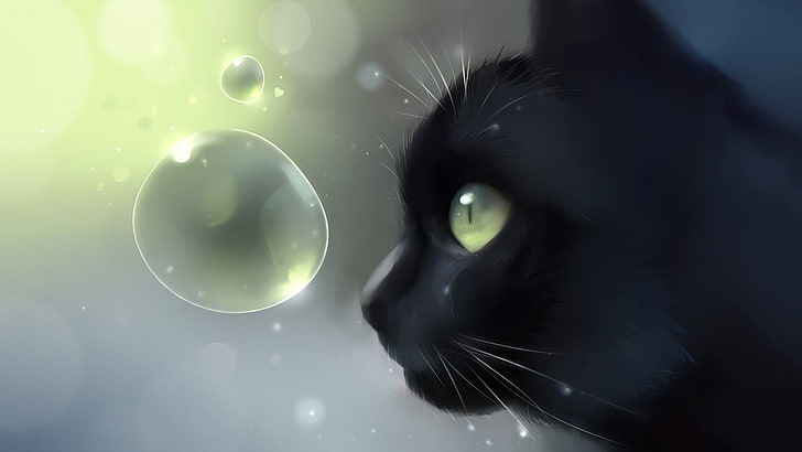 black cat illustration, closeup photo of black cap near clear bubble, Apofiss, artwork, bubbles, cat, animals, HD wallpaper