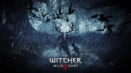 The Witcher Wild Hunt HD обои, Ведьмак, Ведьмак 3: Дикая Охота, HD обои HD wallpaper