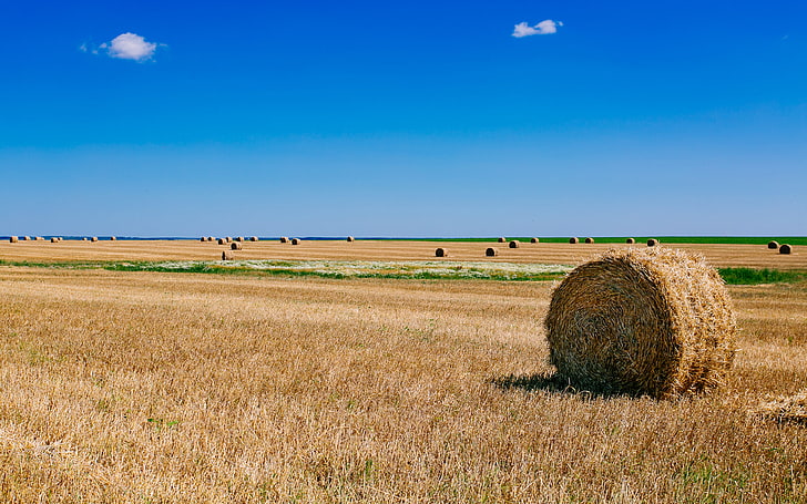 Summer Fields, blue, brown, farming, fields, hay, landscape, nature, photography, russia, sky, suzdalrussia, HD wallpaper