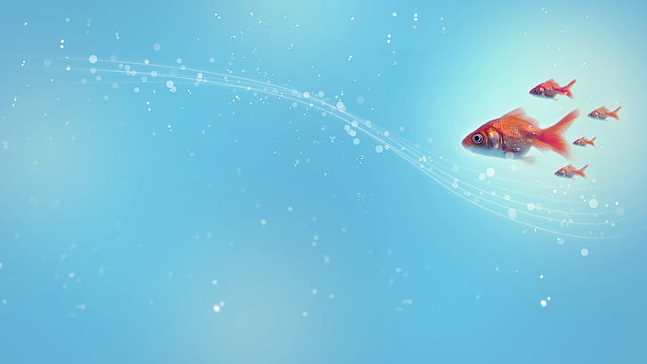 Blue Fish Goldfish HD, animaux, bleu, poisson, poisson rouge, Fond d'écran HD