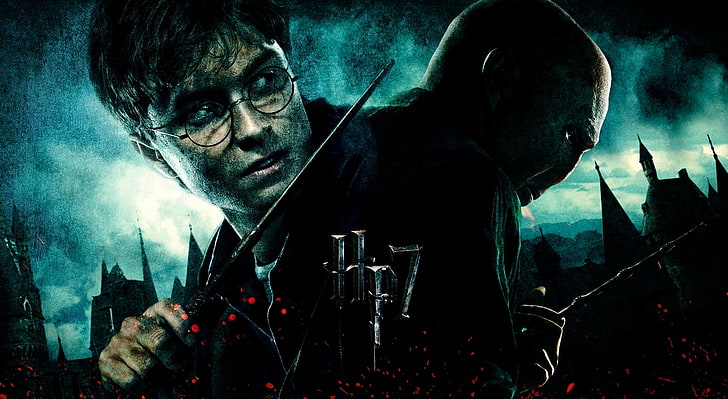 Harry Potter 7, Harry Potter and Voldemort wallpaper, Movies, Harry Potter, harry, potter, hp, hp7, HD wallpaper