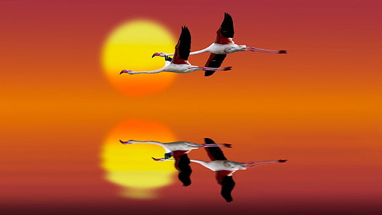 Flamingo Red Sky At Sunset Flight Art Hd Bakgrundsbilder för mobiltelefoner och bärbara datorer, HD tapet HD wallpaper