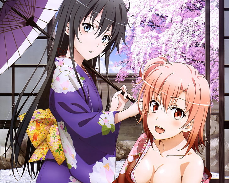 Anime, My Teen Romantic Comedy SNAFU, Yui Yuigahama, Yukino Yukinoshita, HD wallpaper
