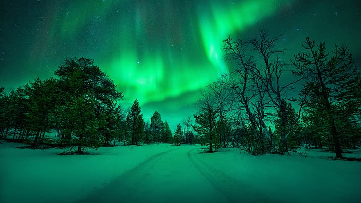 Aurora, nature, road, winter, snow, trees, sky, landscape, HD wallpaper