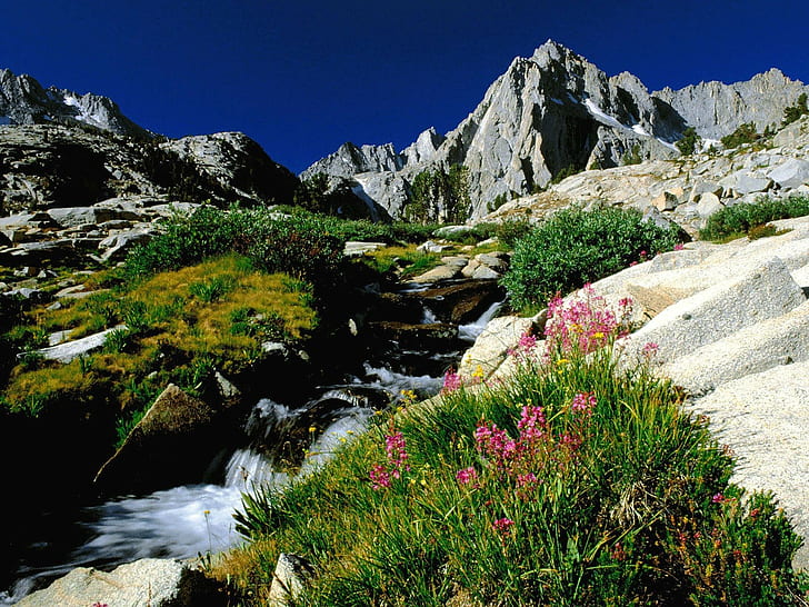 Landschaft, Bäche, Klippen, Felsen, Blumen, HD-Hintergrundbild