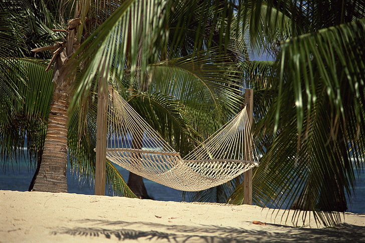 brown net hammock, hammock, palm trees, shadow, sand, rest, clearly, HD wallpaper