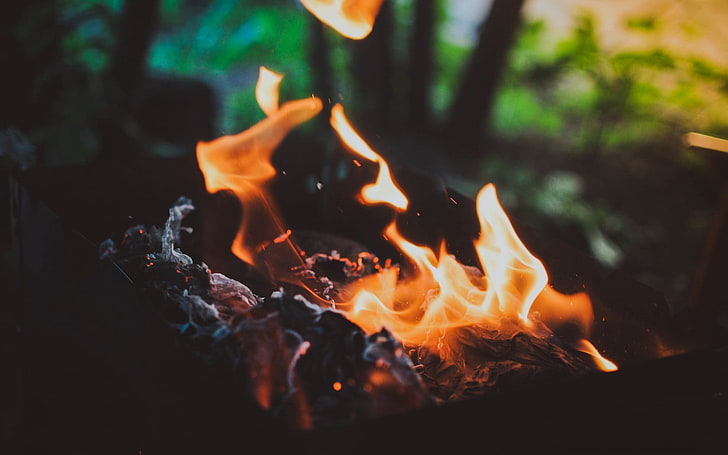 bonfire, fire, HD wallpaper