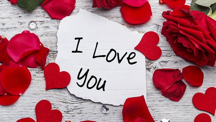 i love you printed paper with rose petals, love image, heart, rose, flowers, 4k, HD wallpaper