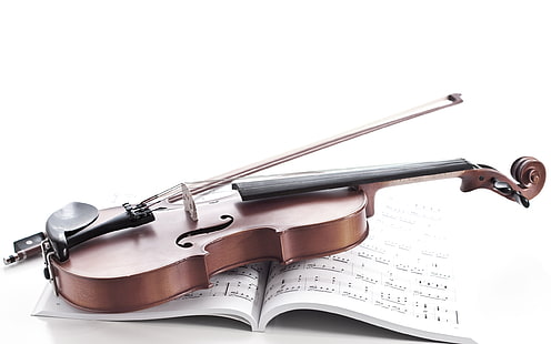 바이올린 HD, 음악, 바이올린, HD 배경 화면 HD wallpaper