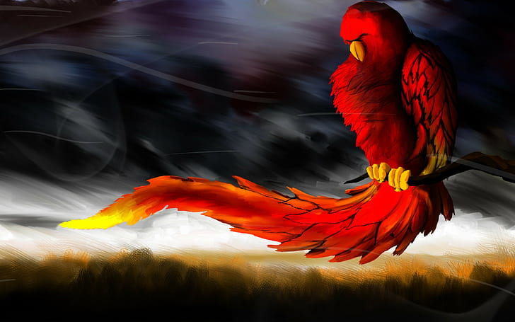 Vögel, Phoenix, Grafik, Fantasiekunst, HD-Hintergrundbild