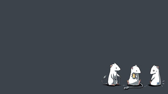 ilustração digital de três roedores brancos, ratos, humor, fundo simples, arte, HD papel de parede HD wallpaper